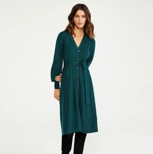 Ann Taylor Green Sweater Dress